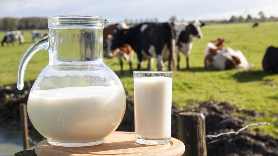 Il latte fa male: un mito da sfatare